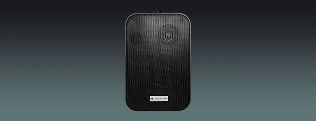 Wall Mounted Speaker