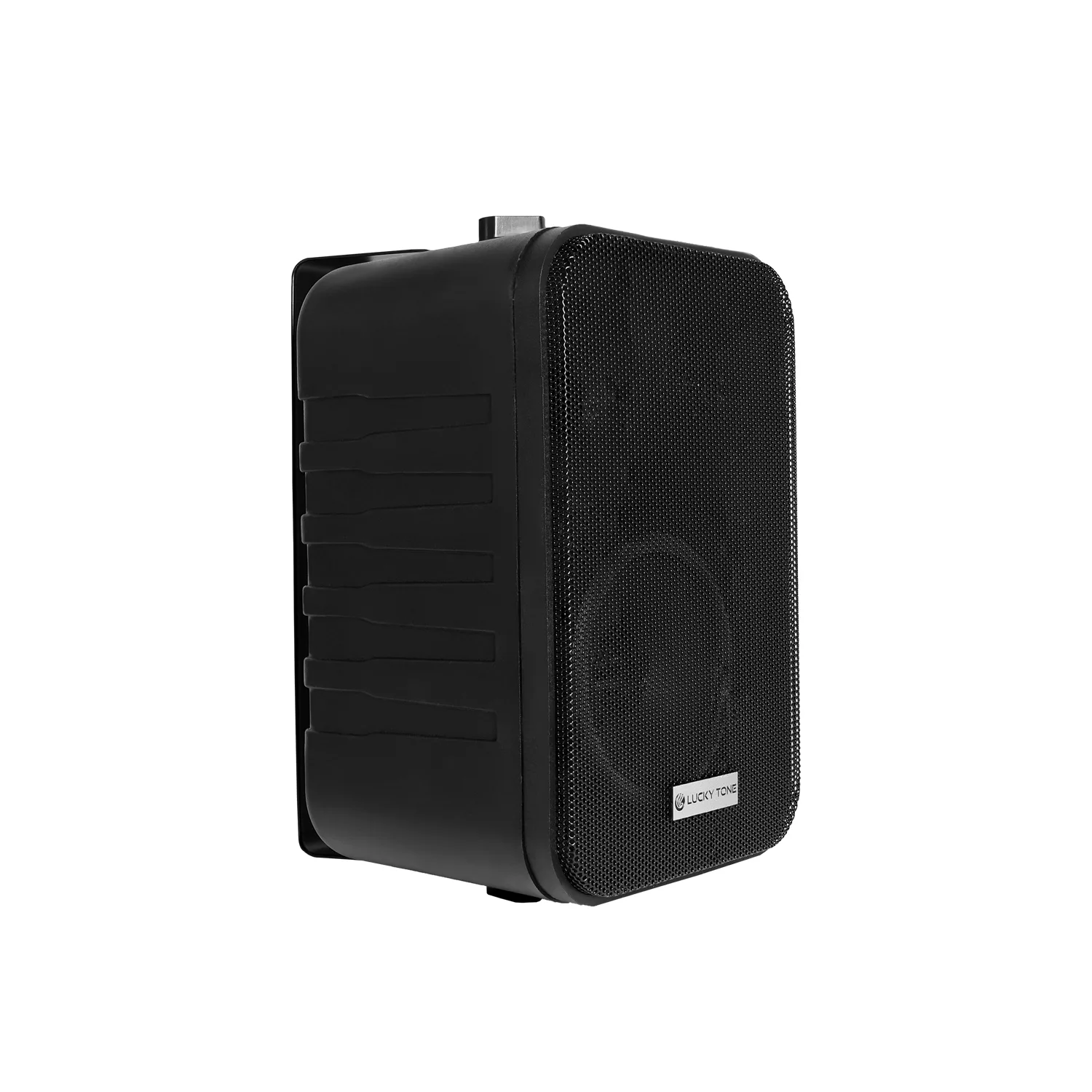 Wall Mounted Speaker 2