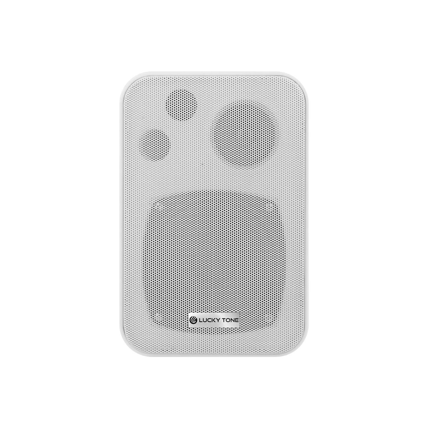 Wall Mounted Speaker 5